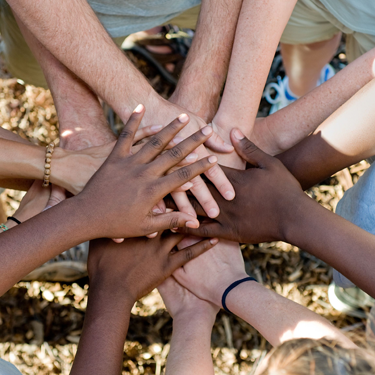 Circle of Ropes - Become a NACBHDD Member